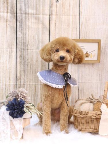 20241015プー太郎くん